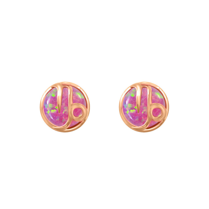 Zodiac Earrings - Capricorn